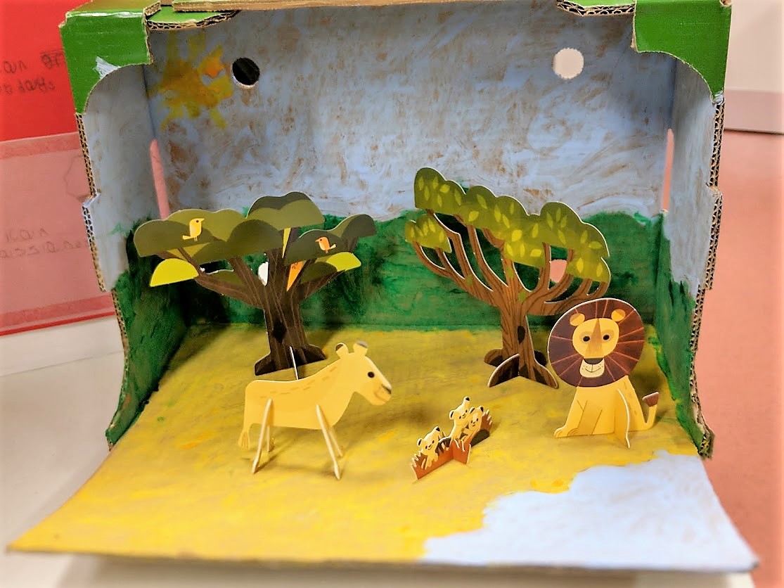 safari scences