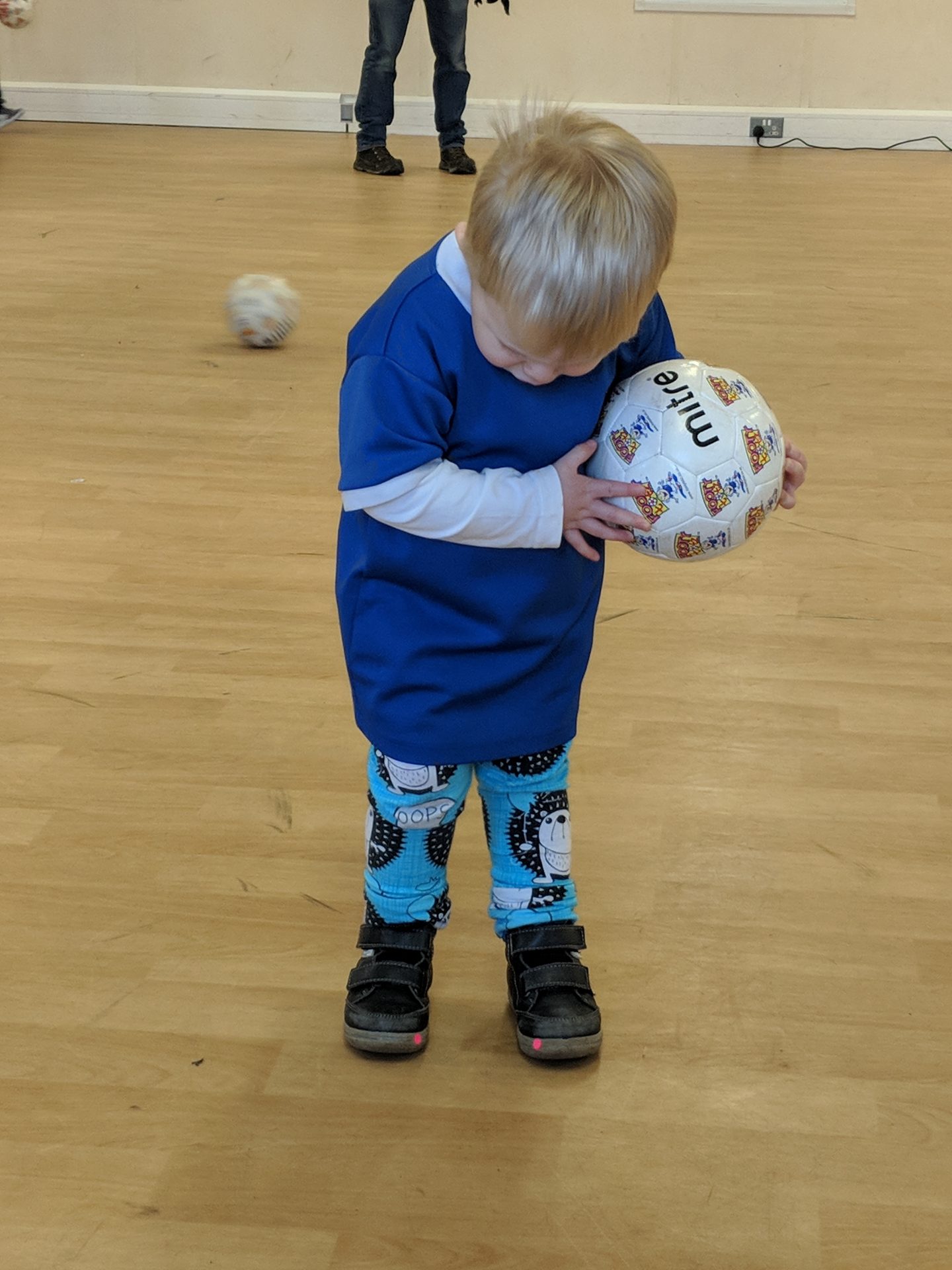 princess and the frock hedgehog leggings