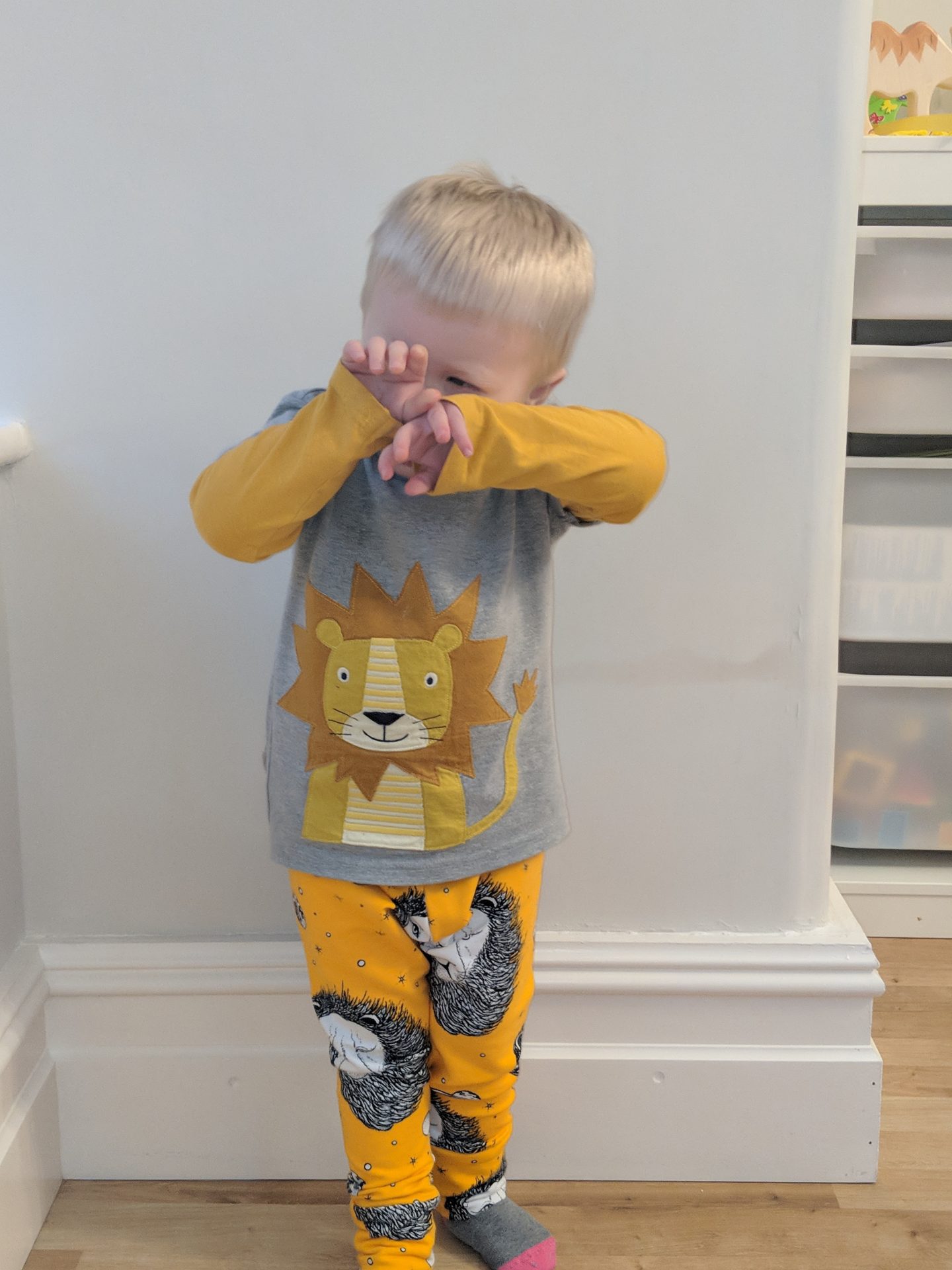 princess and the frock lion leggings