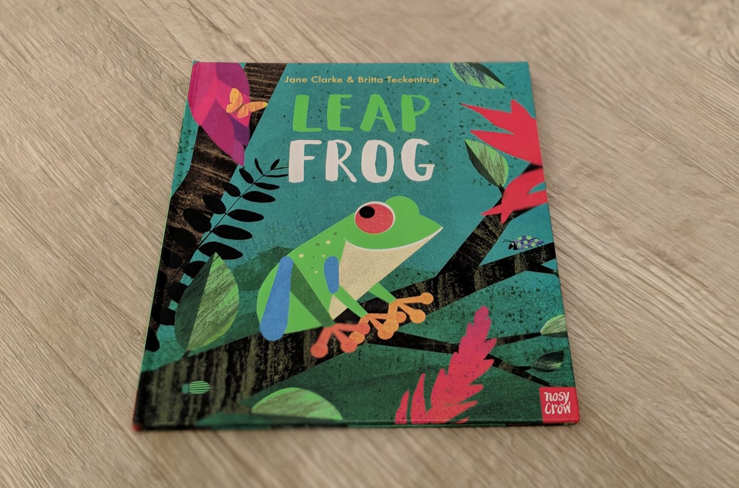 leap frog book
