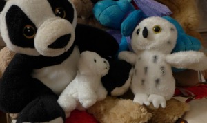 New Friends