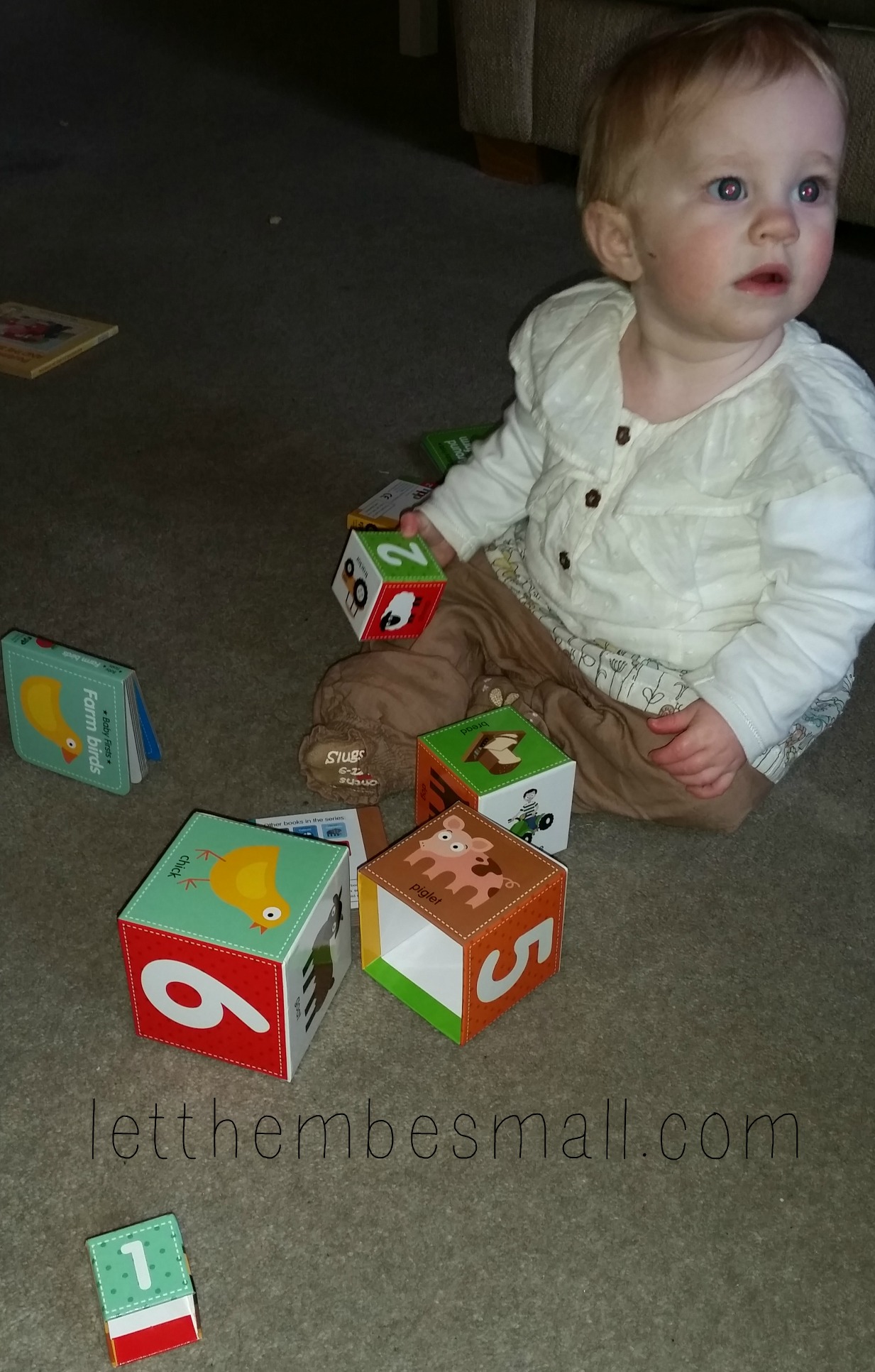 NPP Baby First Books