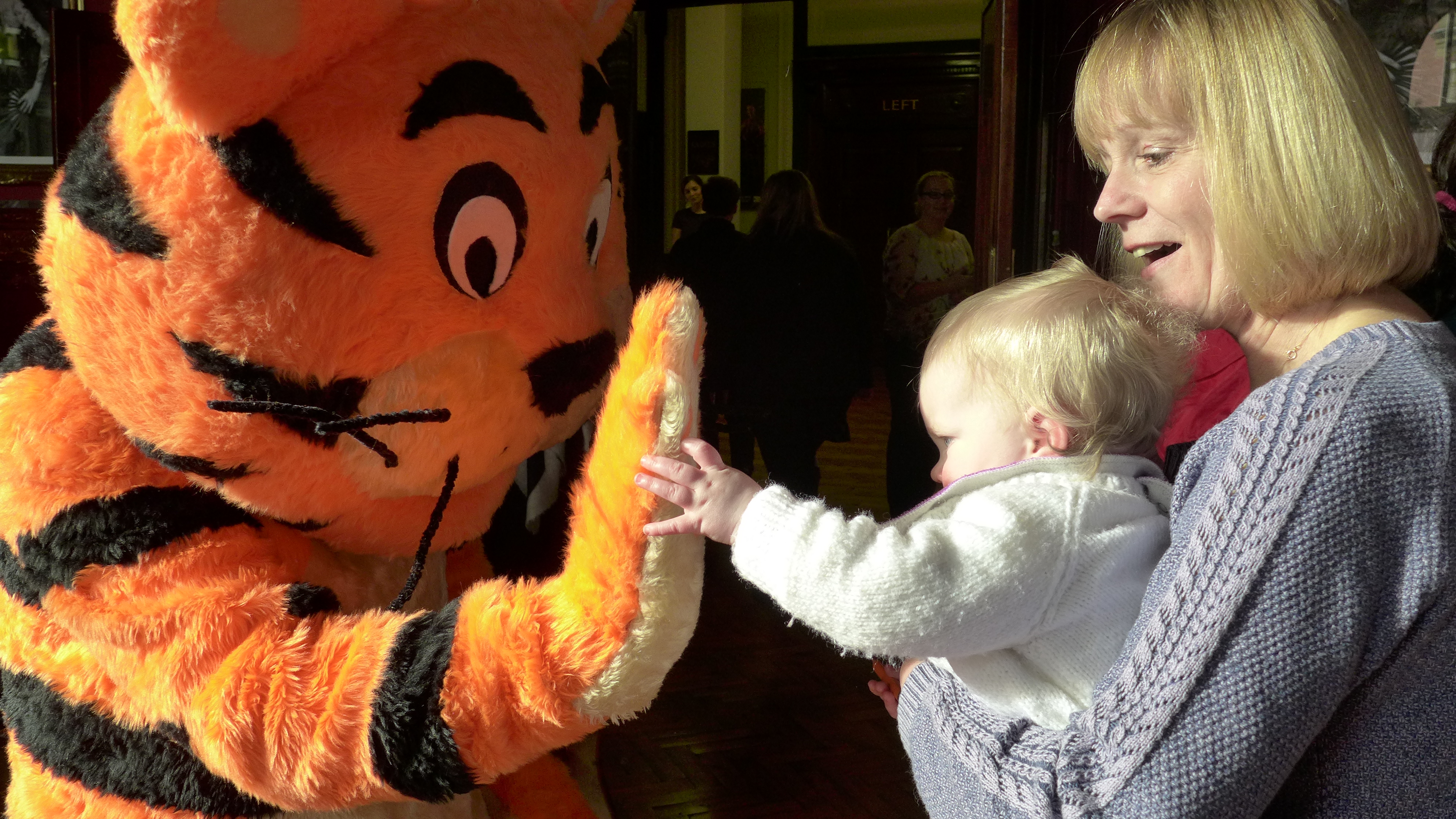 tiger who came to tea review epstein theatre