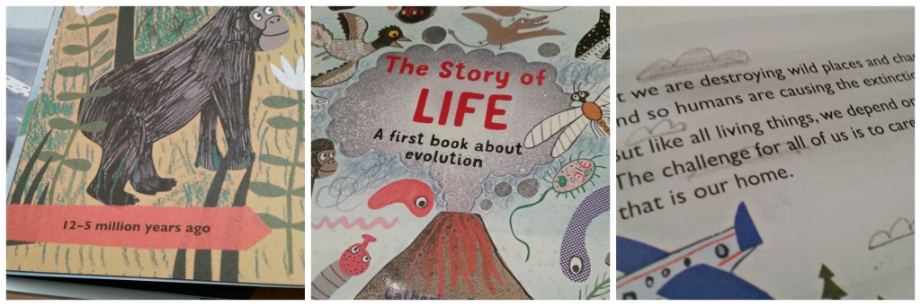 The story of life