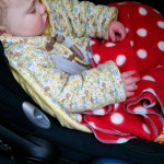 cornish daisy review
