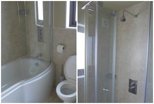 bluestone bathrooms