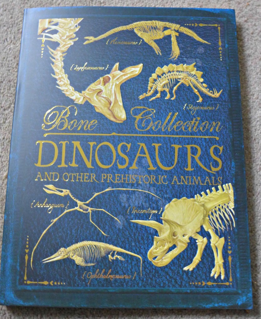 Bone Collection Dinosaurs review