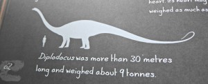 bone collection dinosaurs review