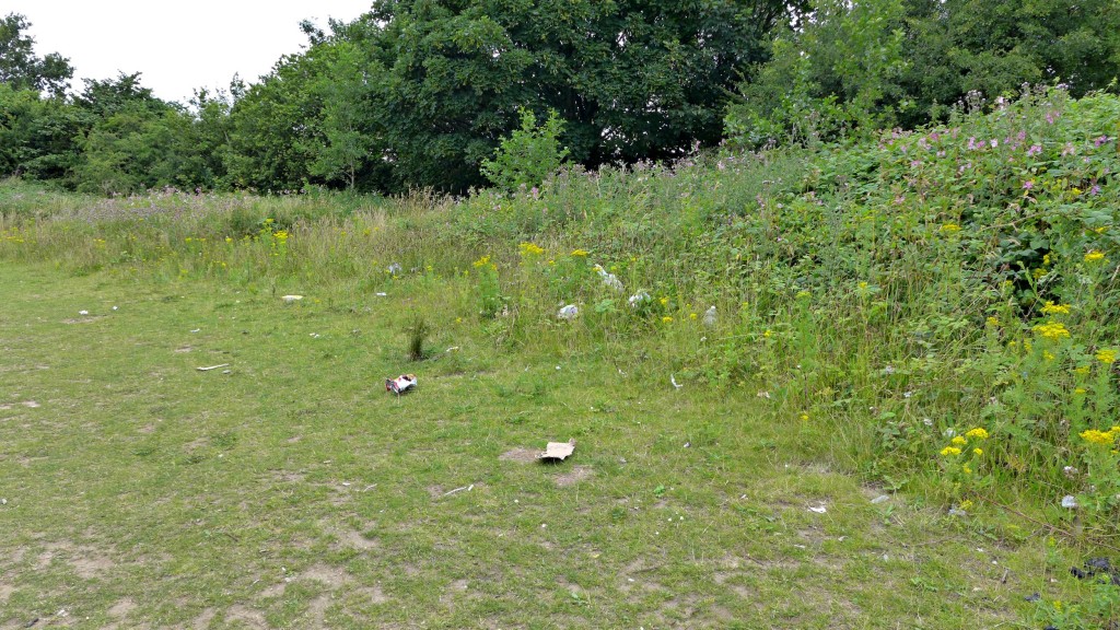 litter sale water park