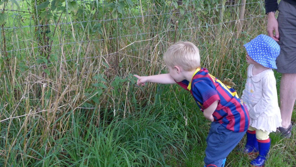 Chadkirk country park
