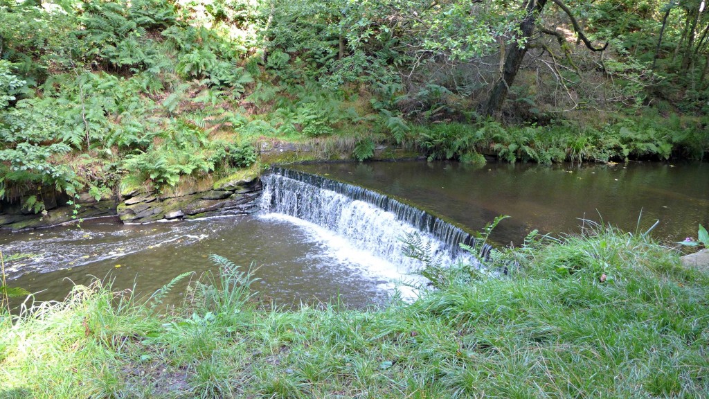 Jumbles country park
