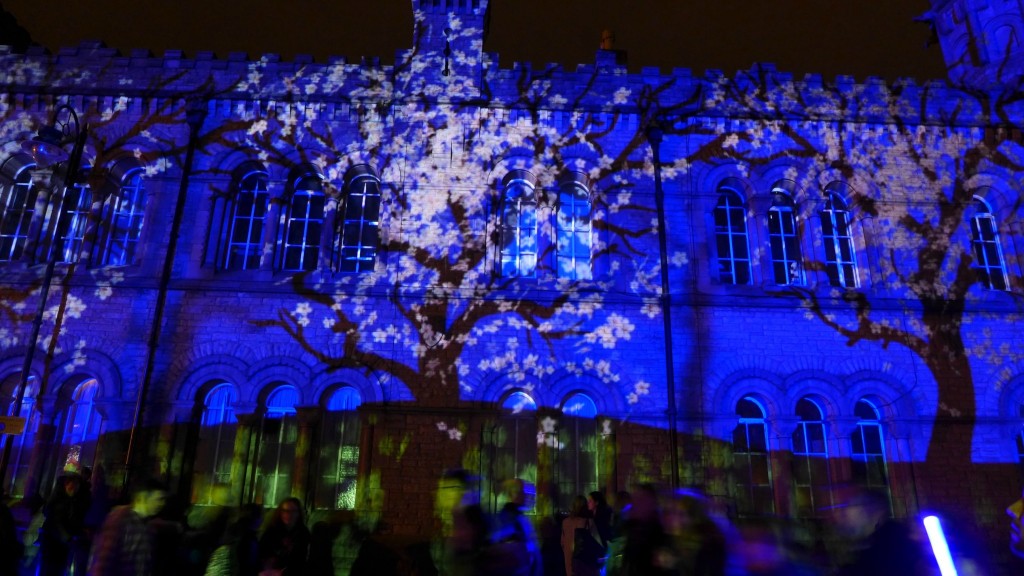 Bury Light Night 2015