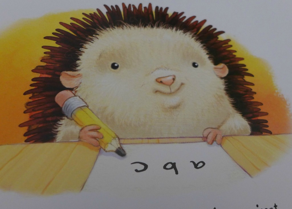 little hedgehog Big Day Book