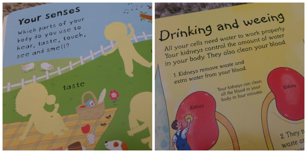 learning about the body pre school