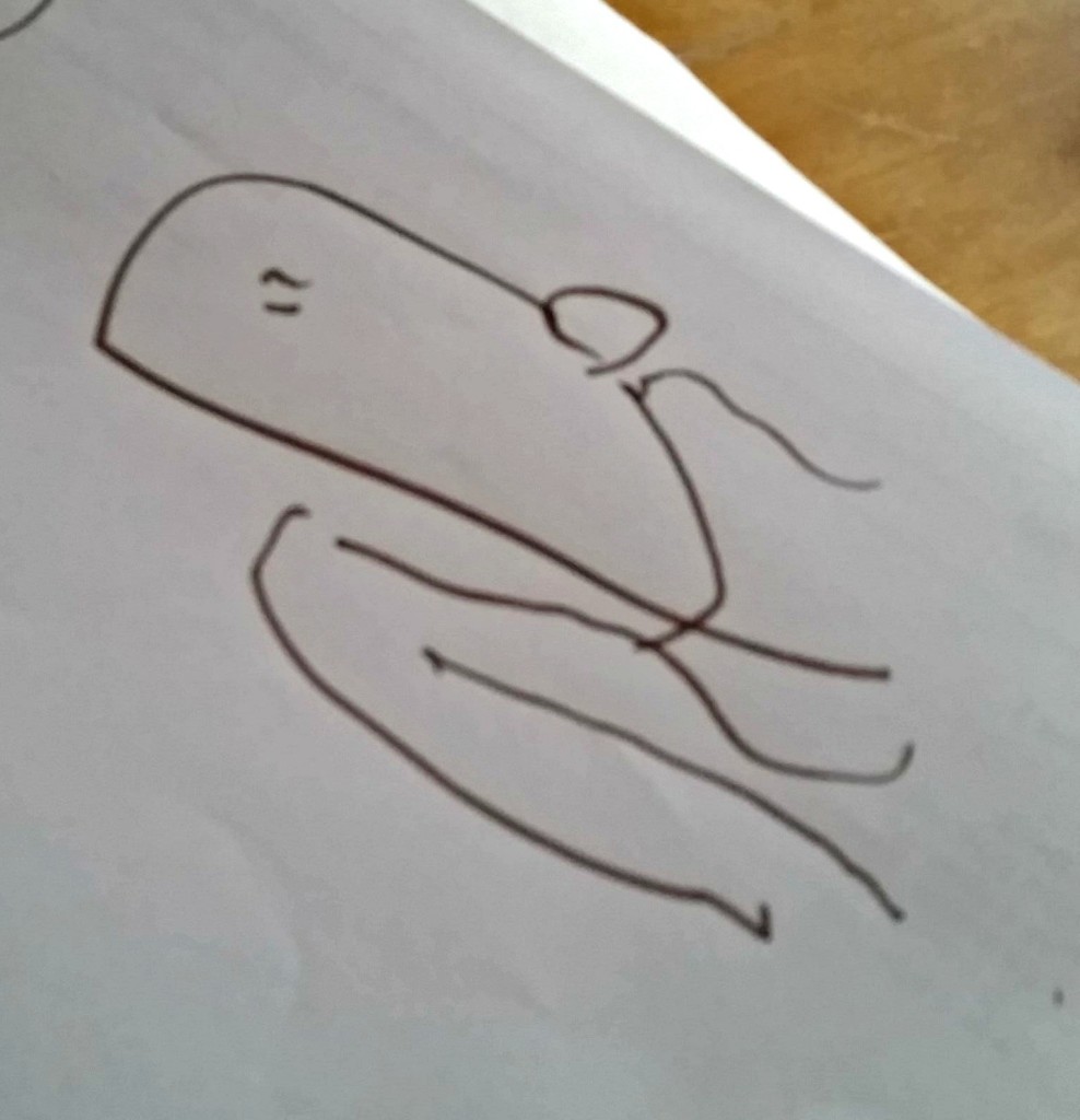 Fin