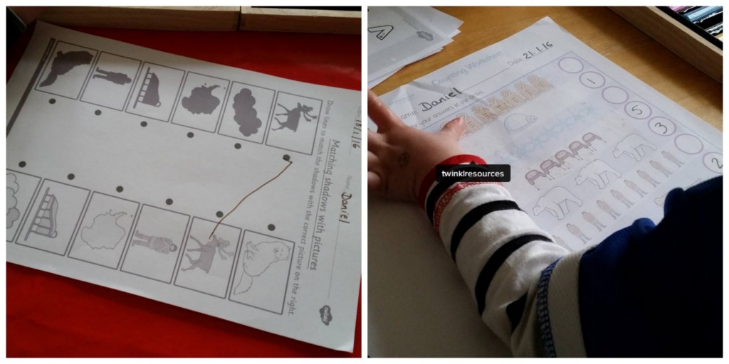 twinkl polar regions sheets