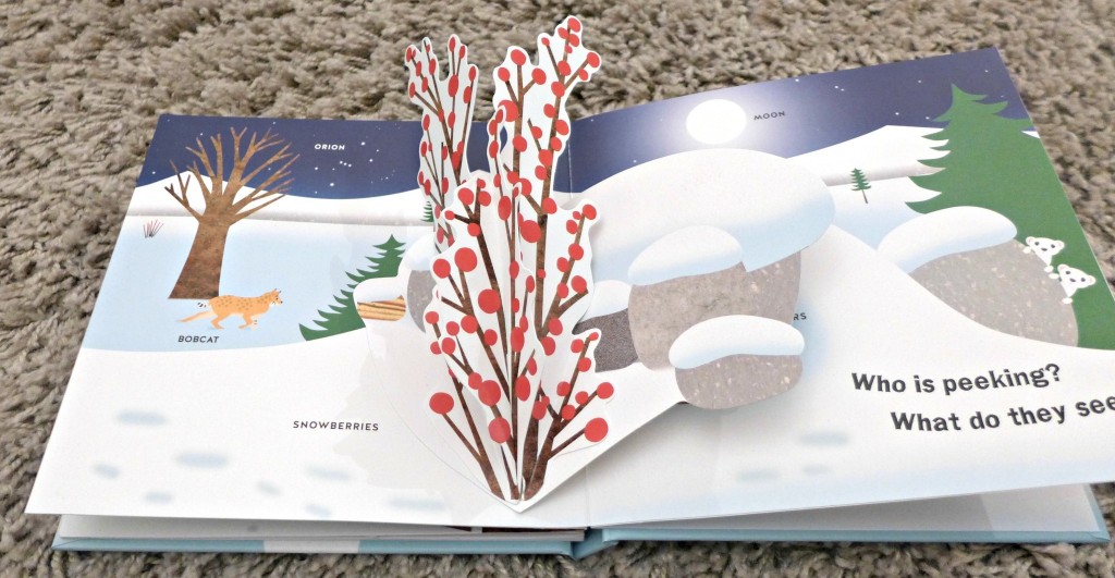 Winter pop up book David Carter