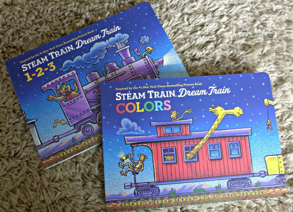 steam train dream train review