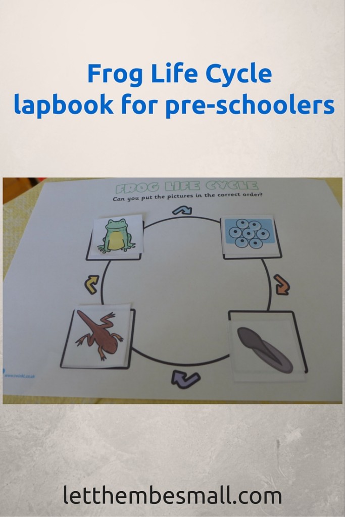 frog life cycle lapbook
