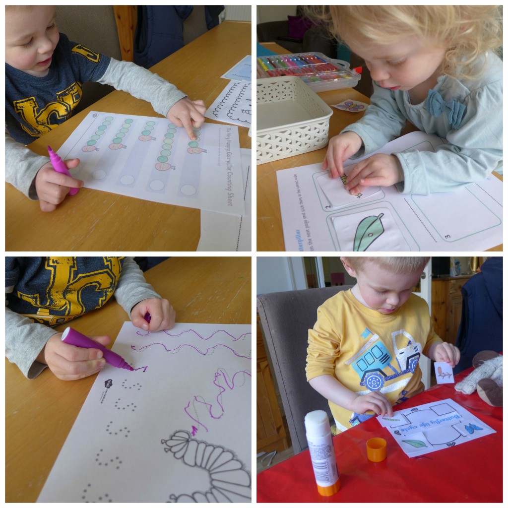 butterfly lifecycle lapbook 