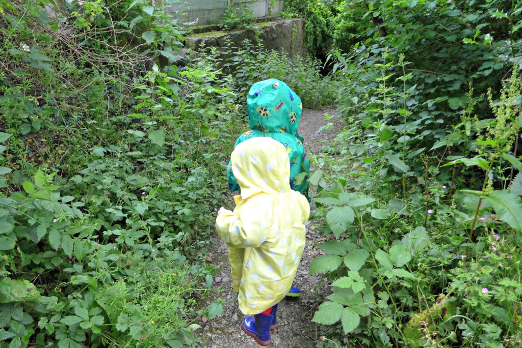 walk in the rain