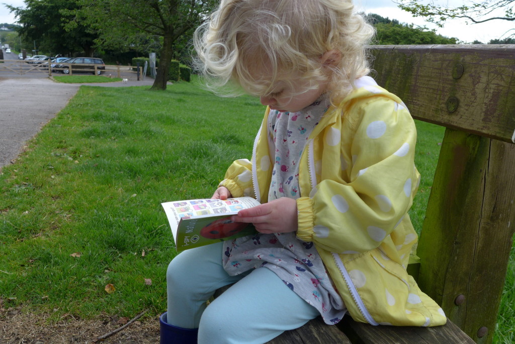 I spy nature book