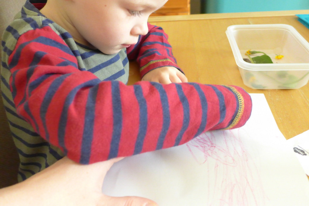leaf rubbings