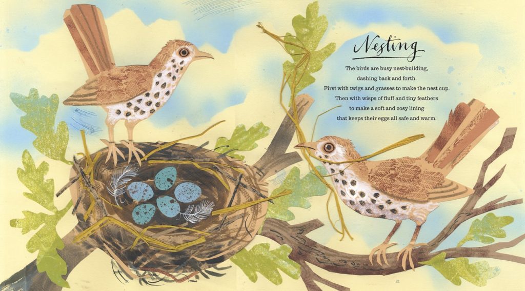 first book of nature