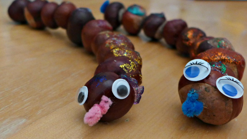 conker caterpillar