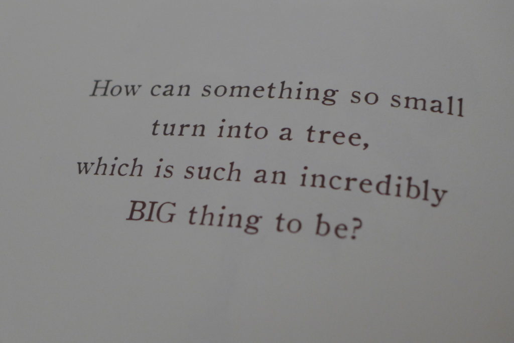 it starts with a seed