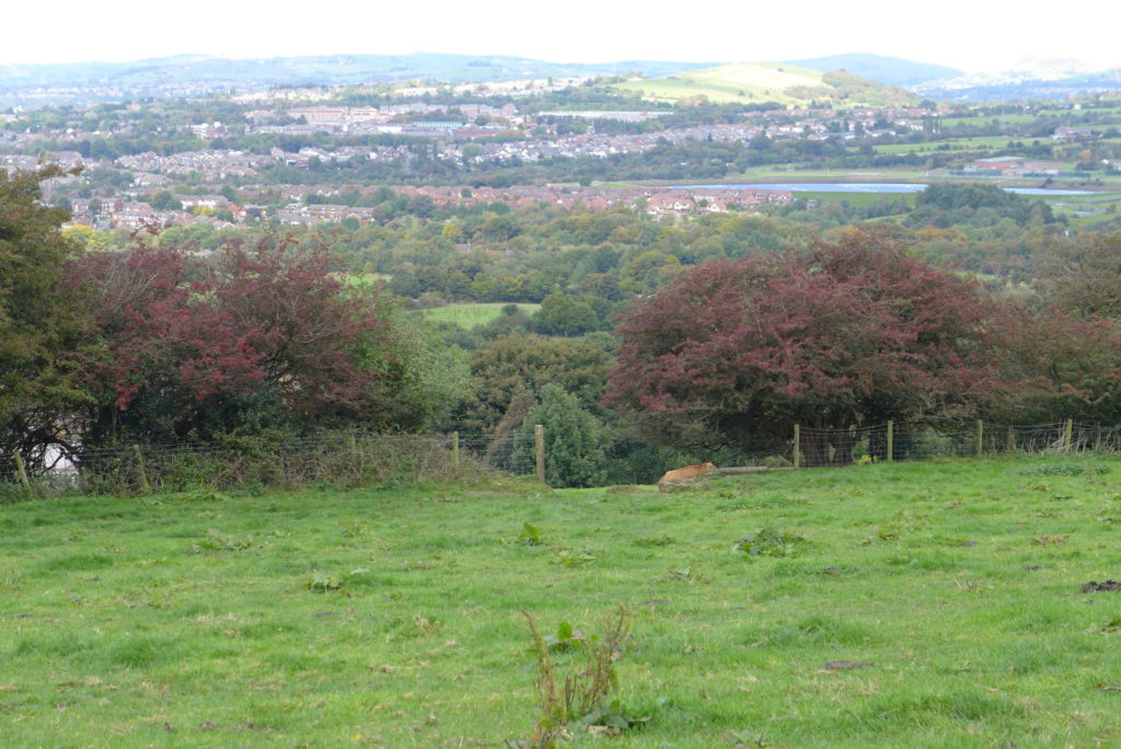 Werneth Low Country Park