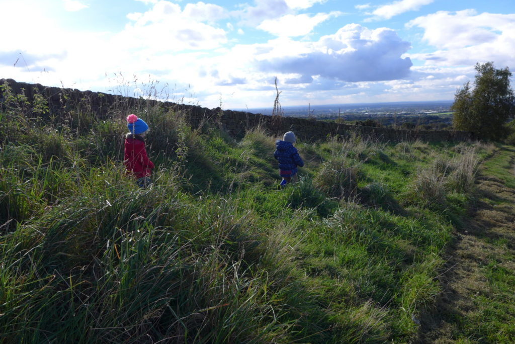 werneth low country park