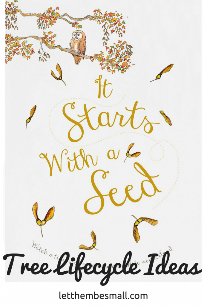 Tree lifecyle ideas for pre-schoolers using the it starts with a seed book as the basis for inspiration