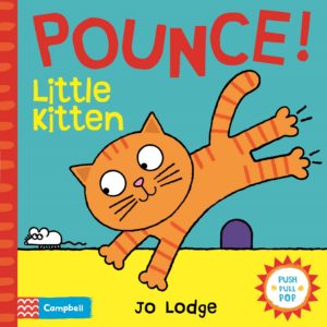 pounce! Little Kitten