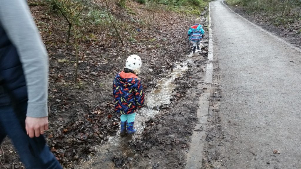 river goyt walk