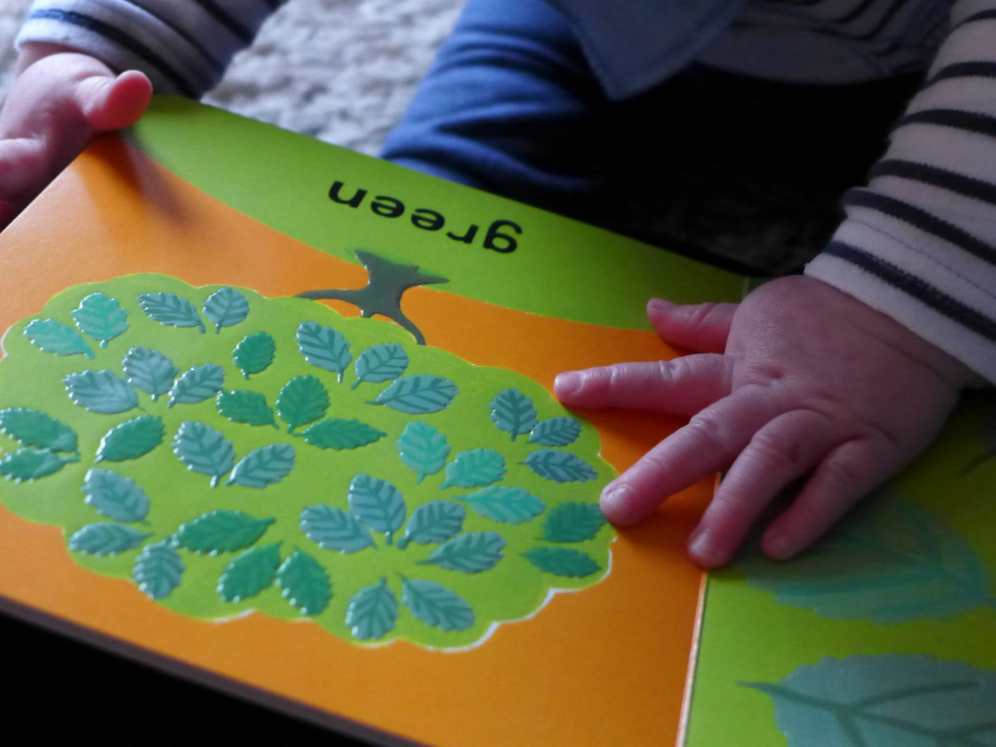 campbell baby books