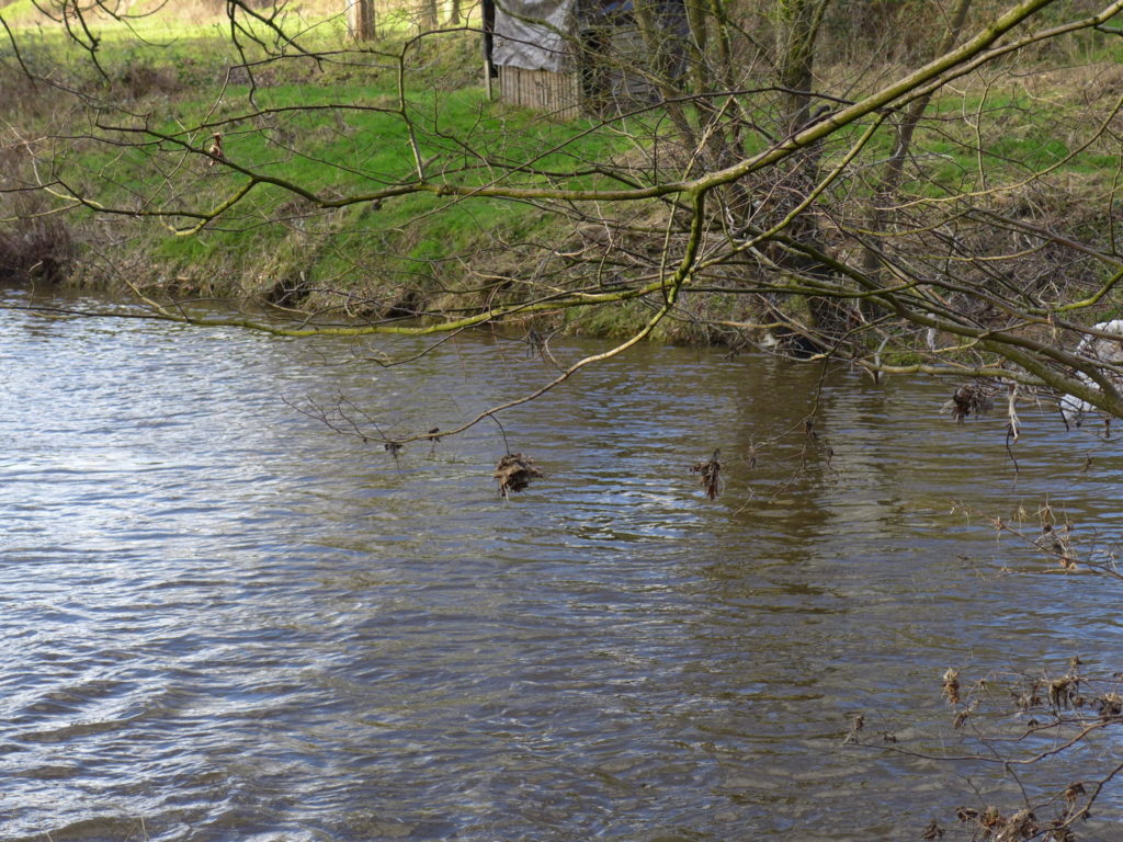 river goyt walk