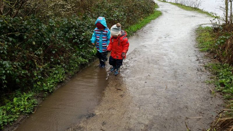 spring walk