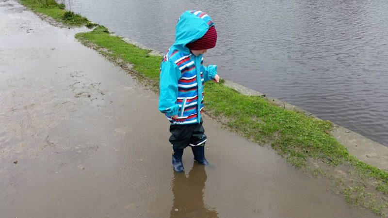 spring walk