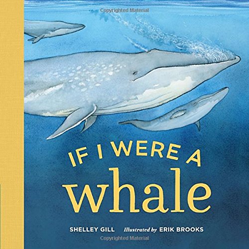 If I were a Whale