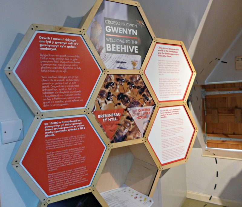 The ugly house review bees
