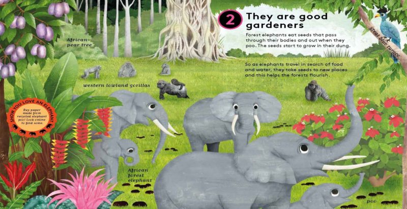 boredom busting books 10 reasons to love an elephant
