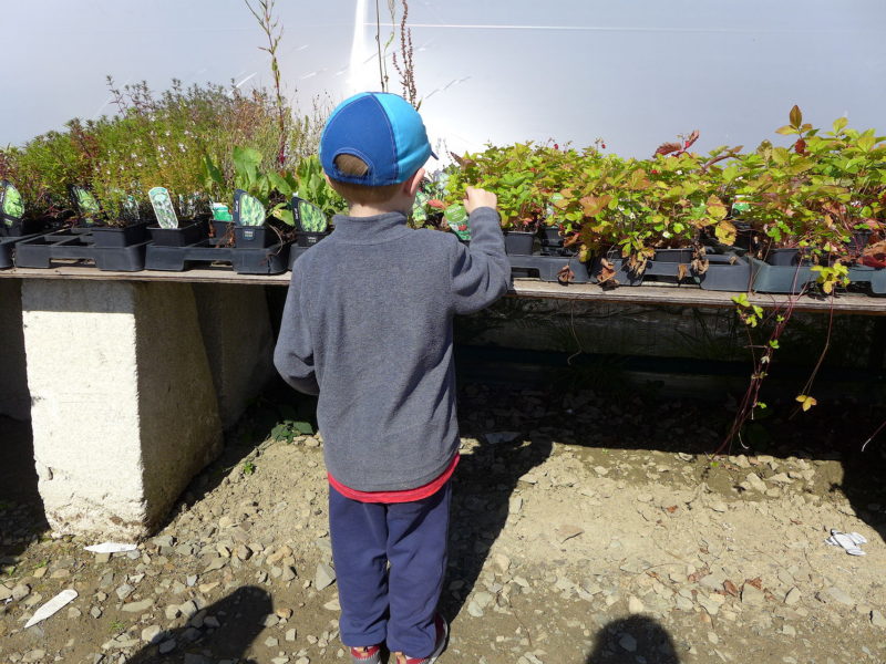 Kenyon Hall Farm Home Educators Day