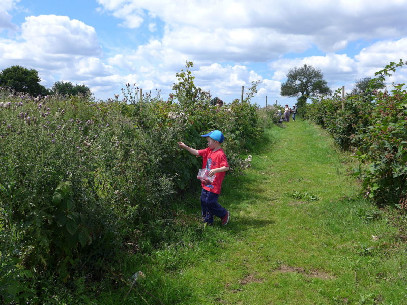 Kenyon Hall Farm Home Educators Day