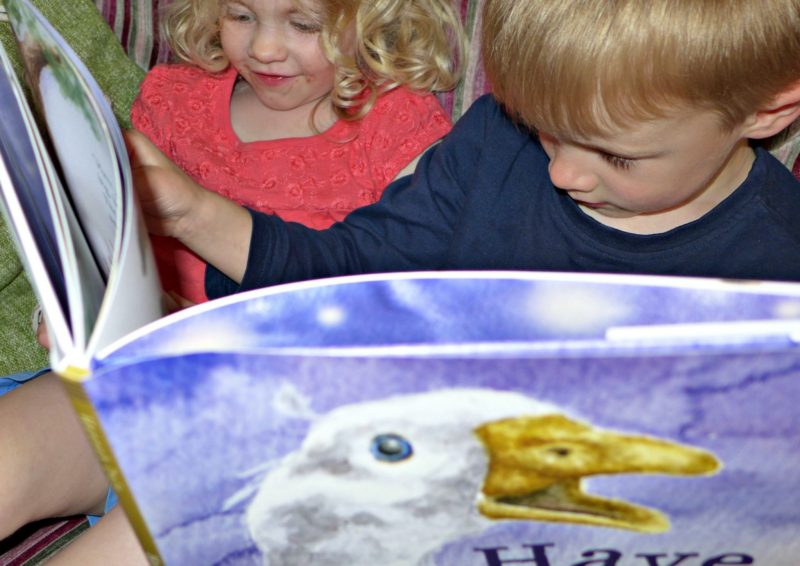 have you heard, Hannah Dale book review Wrendale Designs
