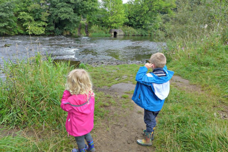 Eploring Nature with children seed dispersal