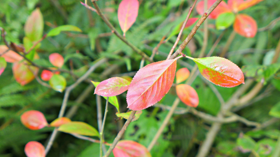 autumn equinox nature walk