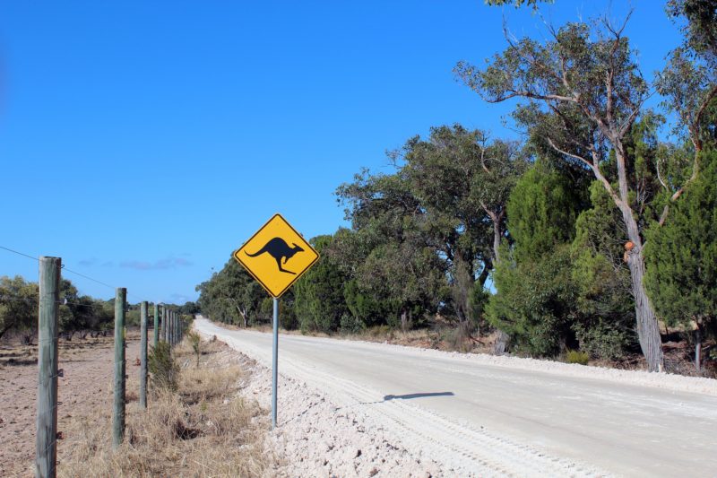 australia road trip
