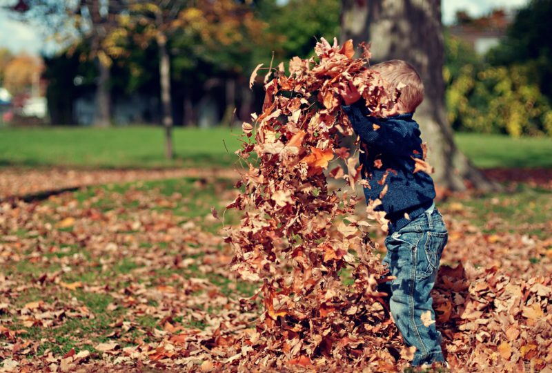 fun outdoor autumn games