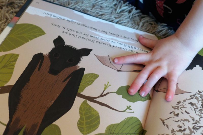 we travel so far migration book for children